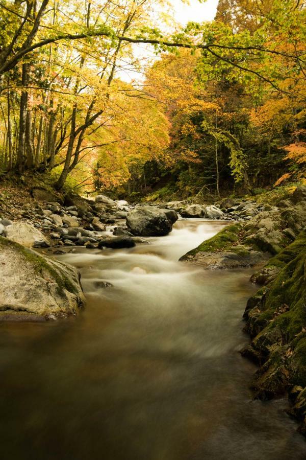 Tanigawadake Raspberry Youth Hostel มินาคามิ ภายนอก รูปภาพ